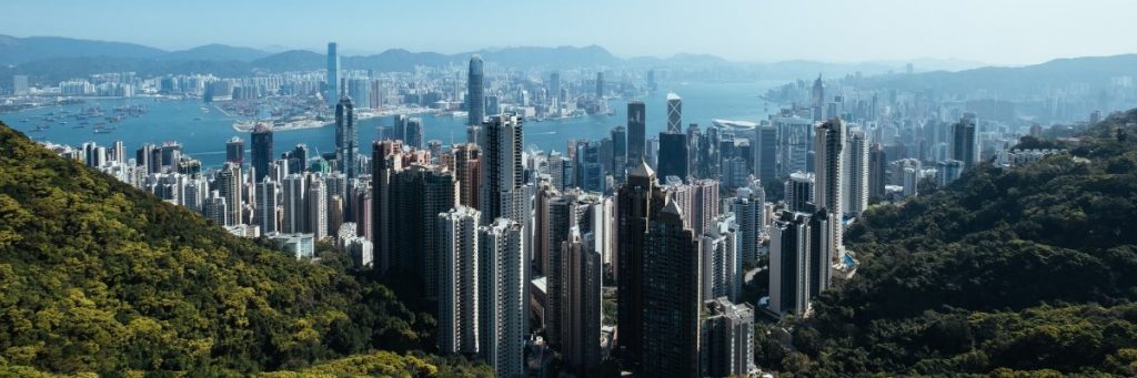 Business Management Consultant in Hong Kong - capibizO