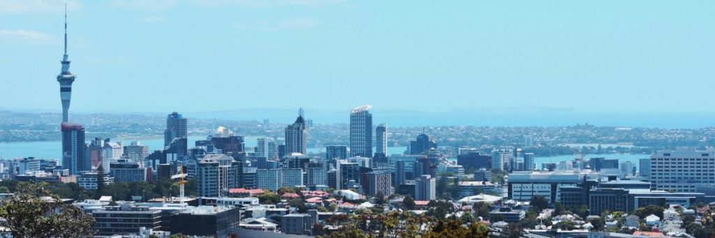 Business Management Consultation in New Zealand